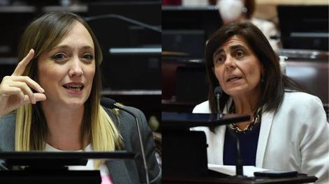 Las reformas que vetará Javier Milei sólo tuvieron un voto mendocino en el Senado