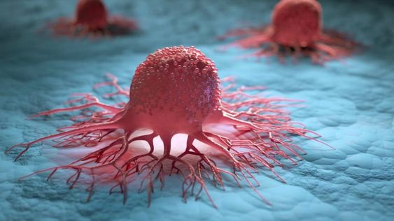 La identificación y estudio sistemático de los mecanismos de respuesta al estrés celular de las células cancerosas podrían ser utilizados para el desarrollo de terapias mejor adaptadas.