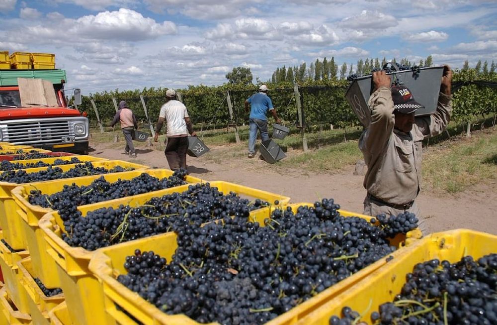 Con media sanción en el Senado de la Nación, los referentes locales se ilusionan con llegar a los doce salarios y poder jubilarse a los 57 años. Dudas por parte de los empresarios.