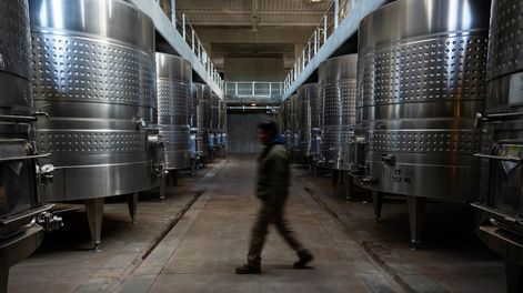 La autora lo pone como ejemplo de una privatización exitosa que termina derramando en toda la cadena vitivinícola y supone una mejora para el productor / Ignacio Blanco
