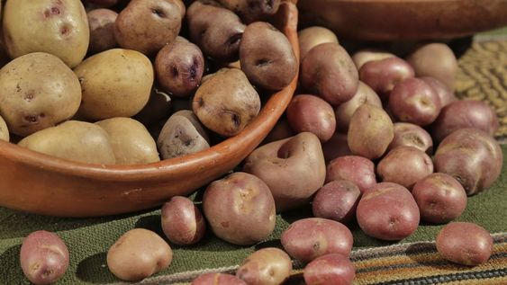 La papa andina y la quinua son dos de los productos que fomentan una alimentación más saludable y una mayor conciencia ambiental. - Imagen web