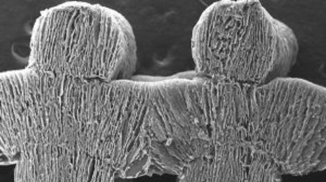 El nuevo aerogel convierte agua de mar en potable con solo luz solar. Una posible solución frente a la escasez de agua.