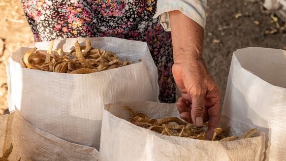 “Nuestro propósito es mejorar el mundo a través de una alimentación que nutra a las personas, Nito Anello, cofundador de la empresa de alimentos Zafrán.
