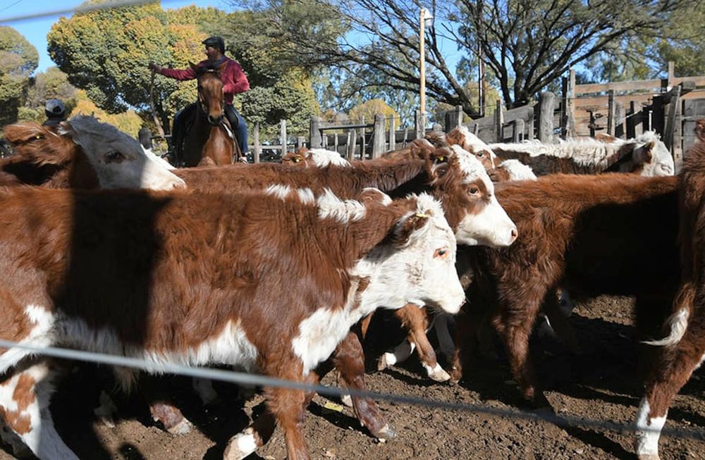 También influye la situación económica del país: un 62% de los encuestados consideró que podría desmejorar dentro de un año.Foto: Ignacio Blanco / Los Andes