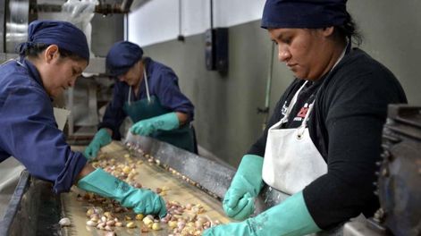 ARCA lanzó el Padrón de Trabajadores Independientes con Colaboradores, que no genera relación de dependencia. Foto: Los Andes