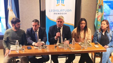 El presidente de la Bicameral de Seguridad, Germán Gómez, en la presentación del informe anual de la comisión.&nbsp;