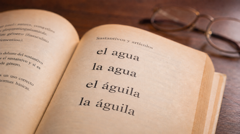 ¿el agua o la agua? ¿el aguila o la aguila?: la regla detras del uso de los articulos