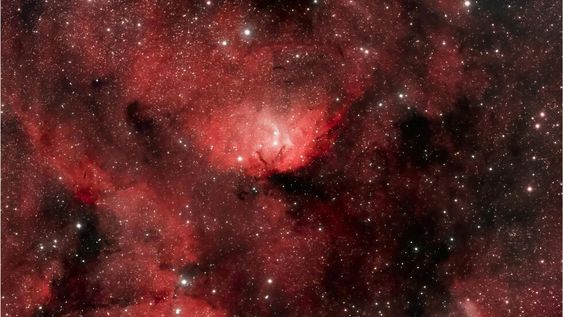 Piscis, estos son tus números de la suerte para hoy