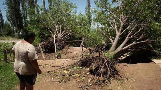 Fuertes vientos y caída de granizo sobre viviendas y terrenos cultivados, afectó unas 17 mil hectáreas productivas de Lavalle y zona Este. (Diciembre de 2021) Foto: Ignacio Blanco (Los Andes)