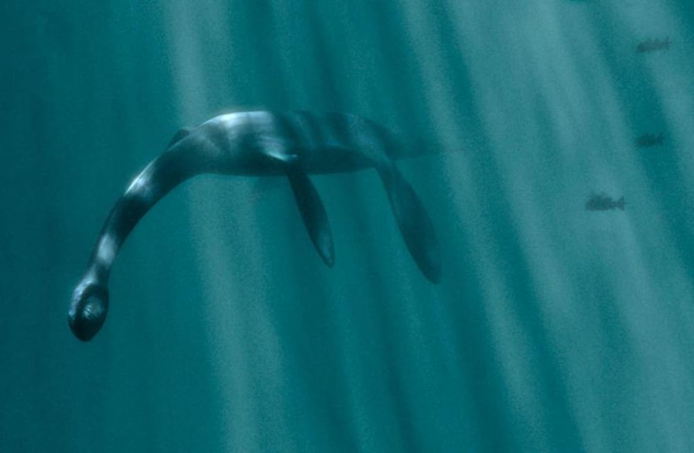Una mujer asegura que grabó al monstruo del lago Nahuel Huapi.