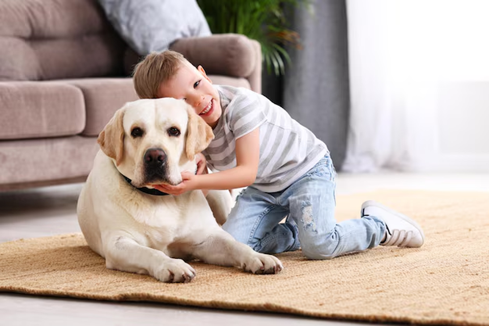 Cu&aacute;les son las 3 razas de perros m&aacute;s amigables con los ni&ntilde;os