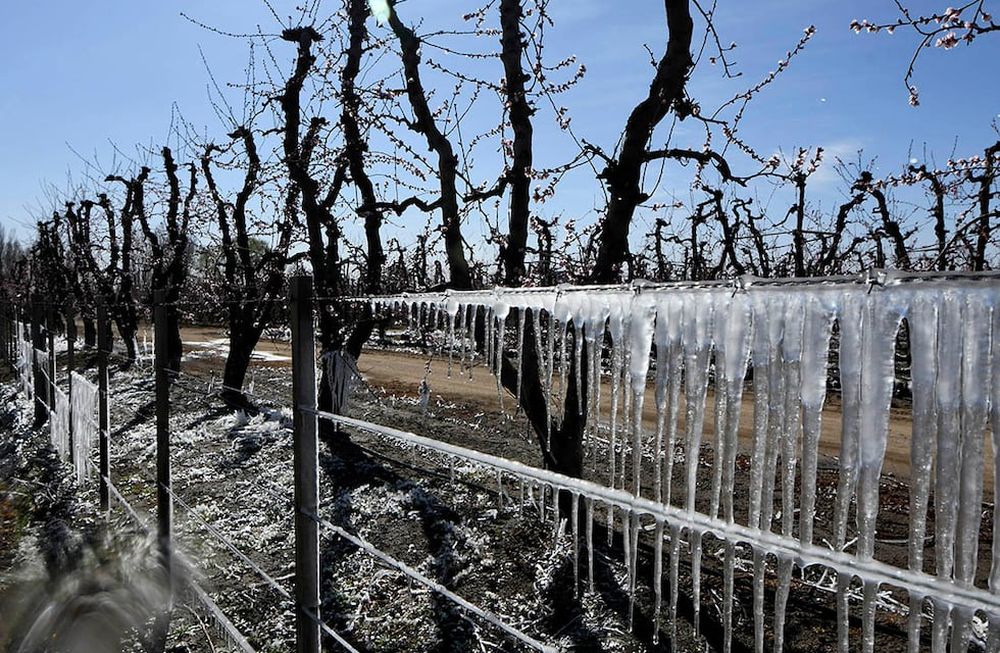 Durante los próximos días se esperan heladas para las primeras horas de la mañana en los oasis mendocinos. Foto: Claudio Gutierrez  Los Andes