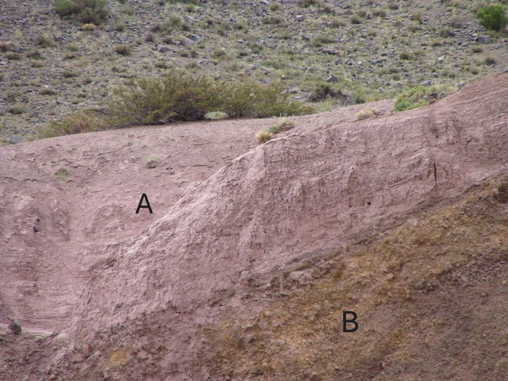 En el valle del río Mendoza. Allí desagua el río Colorado. Se pueden observar los depósitos lacustres (A) de 50 metros de espesor, ubicados aguas arriba de la avalancha de rocas (B) que, proveniente de la ladera sur, represó al río Mendoza.