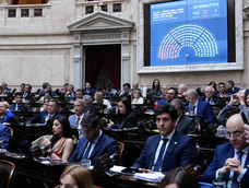 Con 162 votos afirmativos, 77 negativos y 1 abstención, se aprobaron modificaciones al Código Penal sobre Vandalismo Rural.