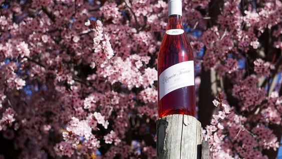 ¿Querés saber quienes fueron los ganadores de las dos cajas de Rincón Famoso Rosé?