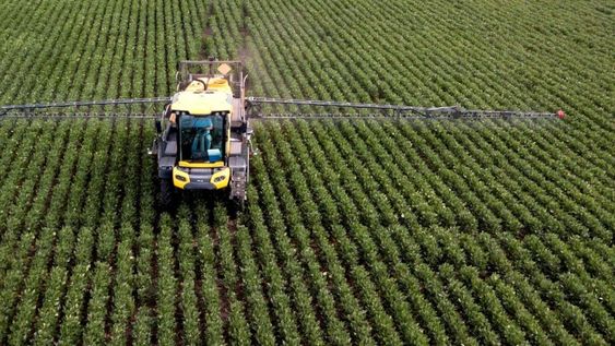 Empresas de agroquímicos podrían cerrar si el Banco Central no libera restricciones
