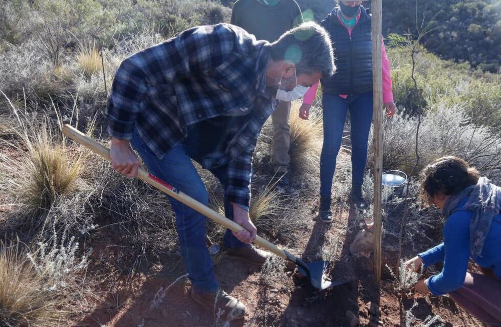 La Ciudad festeja el Día Nacional y Provincial del Árbol y el Mes de la Forestación
