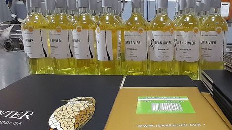 La fescura y el encanto de  Jean Rivier Sauvignon Blanc 2023