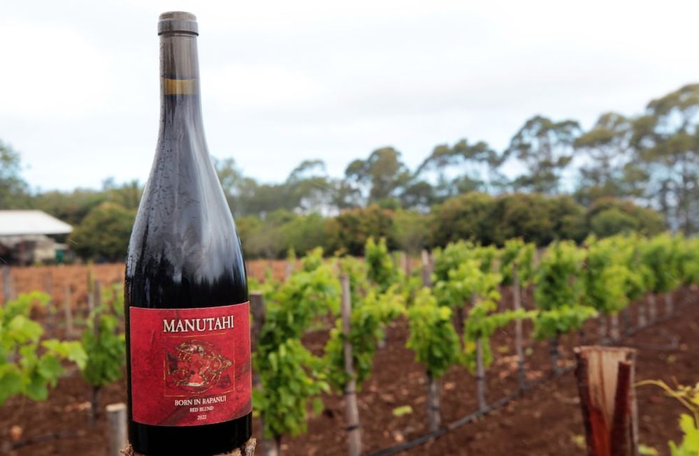 El vino Manutahi, que en lenguaje Rapa Nui significa el primer pájaro. Es el primer vino cultivado, cosechado y embotellado en la Isla de Pascua (Chile). EFE