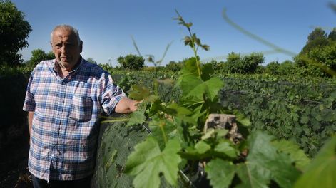 El productor conoció la tierra con su padre y ahora trabaja activamente con sus hijos, quienes continuarán produciendo uva con todo el aprendizaje a cuestas.