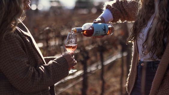 La bodega A16 expone sus vinos en la feria de Guarda14