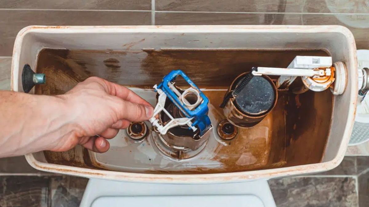 Adiós mal olor en el baño: cómo limpiar y eliminar el moho de la mochila del inodoro con solo 2 trucos simples