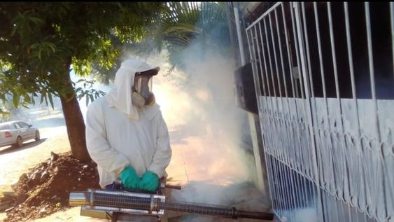 Mendoza, en alerta por 14 casos de dengue detectados y la marcada suba a nivel nacional