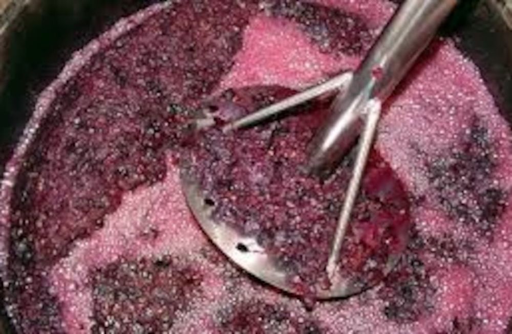 Por primera vez en la historia, en la operatoria de anticipo de cosecha ingresará la uva malbec.