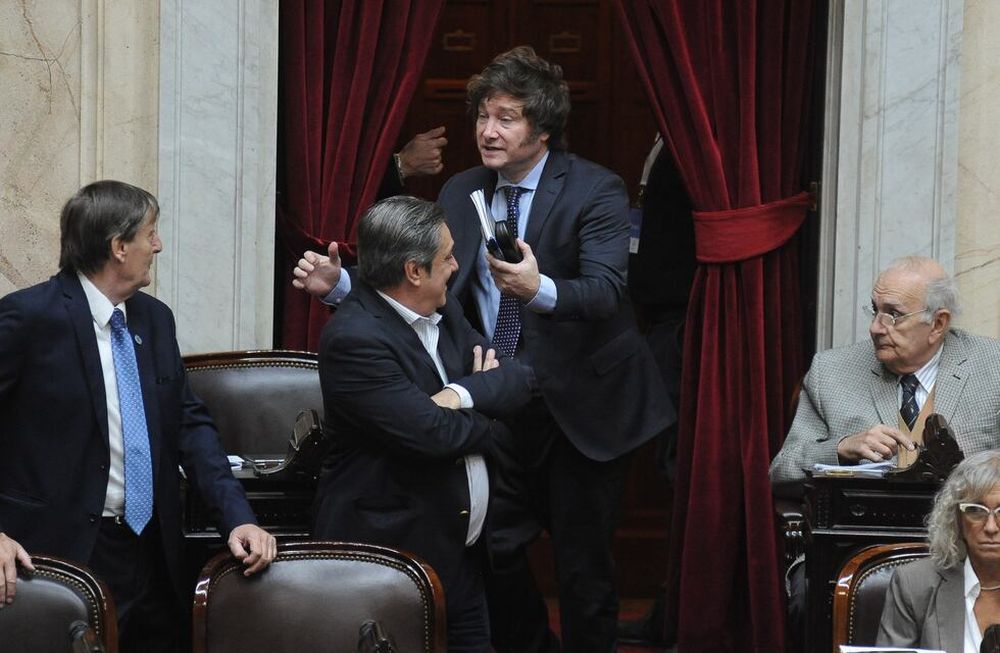 El diputado y candidato presidencial Javier Milei será clave para el éxito o el fracaso de la sesión por la ley de alquileres (Foto: Federico López Claro)