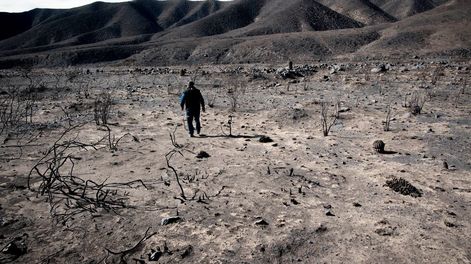 Ley de Bosques: sin presupuesto adecuado, es imposible - Por A. Di Pangracio y M. Di Paola