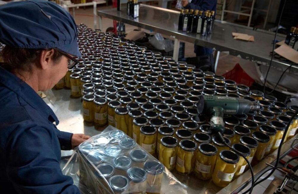 El ministro de Desarrollo Social, Daniel Arroyo, aseguró que este año se planea “convertir los planes sociales en trabajo”, y destacó que para ello se trabaja en “Potenciar Trabajo”. (Los Andes / Archivo)