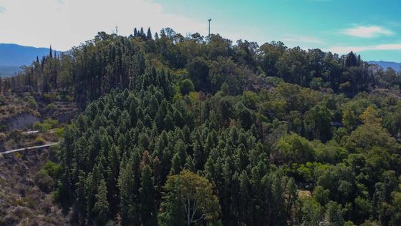A partir de ahora, solo resta la firma de contrato para que la obra pueda comenzar. Foto: Claudio Gutiérrez / Los Andes