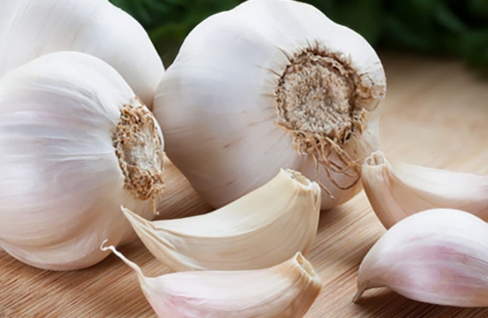 “Es un curso tradicional y desde el INTA y de los organismos que participan presentamos los avances que se han logrado para el crecimiento del sector., señaló Aldo López, del INTA.