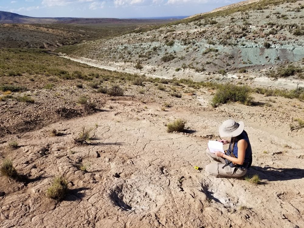 En plena labor de campo: la Dra. Tomaselli documentando las icnitas recién descubiertas en el Parque Cretácico Huellas de Dinosaurios de Malargüe. Un estudio crucial para entender el pasado cretácico.