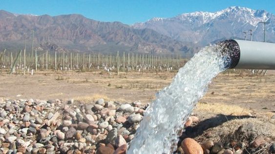 Mendoza debe realizar una reforma de la ley del agua y proponer de acá a diez años duplicar sus hectáreas irrigadas que hoy son cerca del 4% de la superficie total.