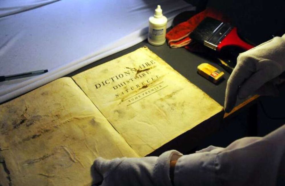 Descubren en la Biblioteca San Martín seis libros que son joyas