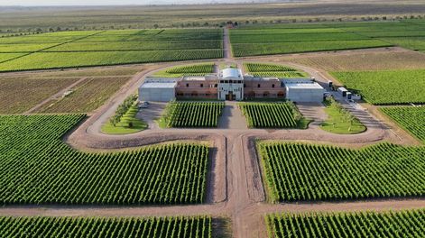 Una de las bodegas más renombradas del Valle de Uco tendrá importantes cambios en los próximos meses, incluido su enólogo.