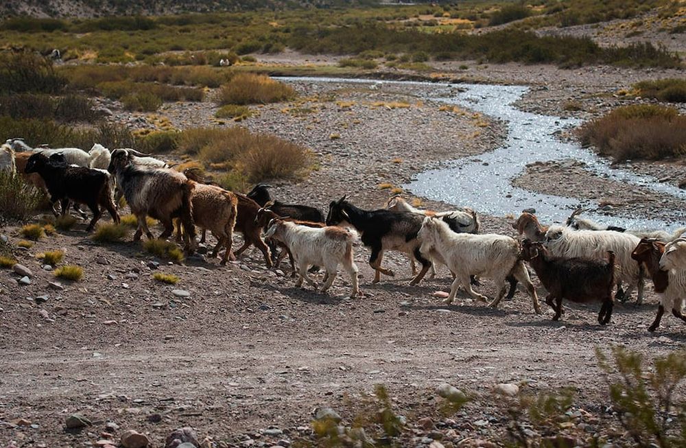 Foto: Ignacio Blanco / Los Andes