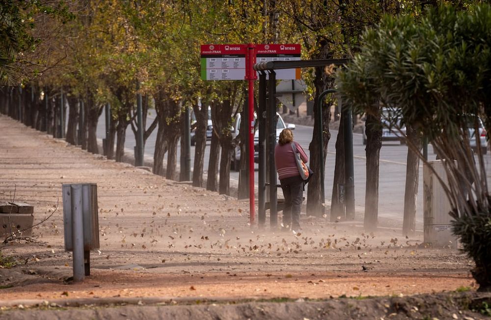 El viento Zonda bajo al llano y con rafagas de fuerte intesidad en la ciudad de Mendoza. Foto: Ignacio Blanco / Los Andes