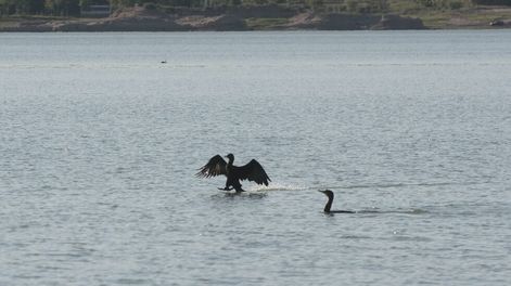 Pescar fantasmas en agosto - Por Javier Hernández