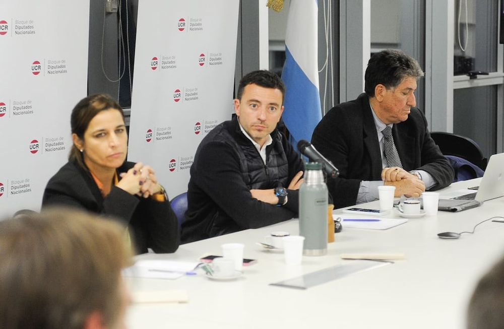 rodrigo de loredo reunion bloque diputados ucr