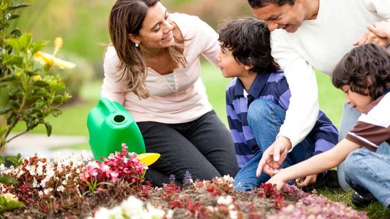 Jardinería