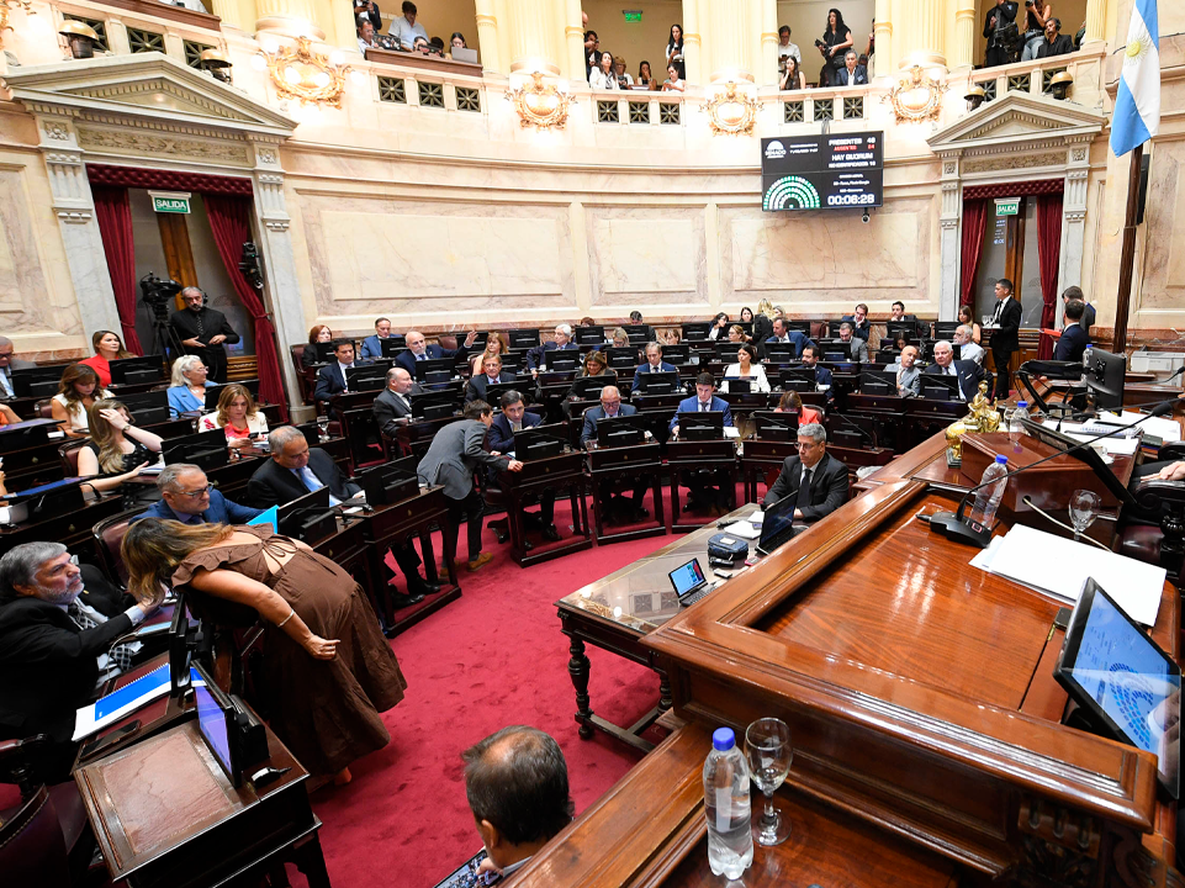 Debate en el Senado por la reforma laboral.
