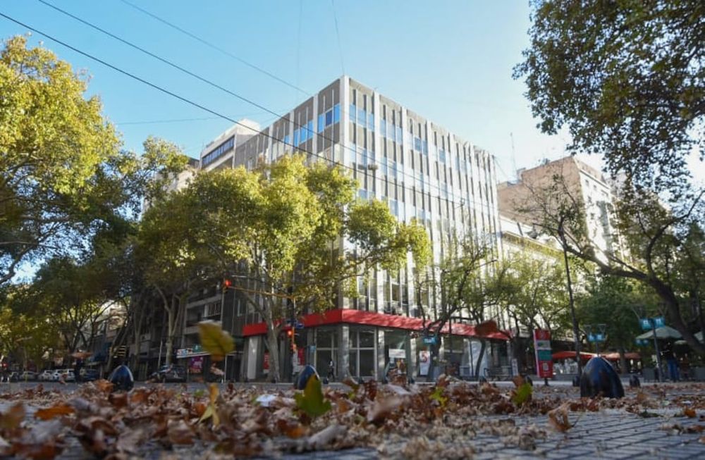 Lo que el Zonda nos dejó: más de 150 árboles, ramas, postes y cables caídos luego del viento. Foto: Marina Villa / Los Andes