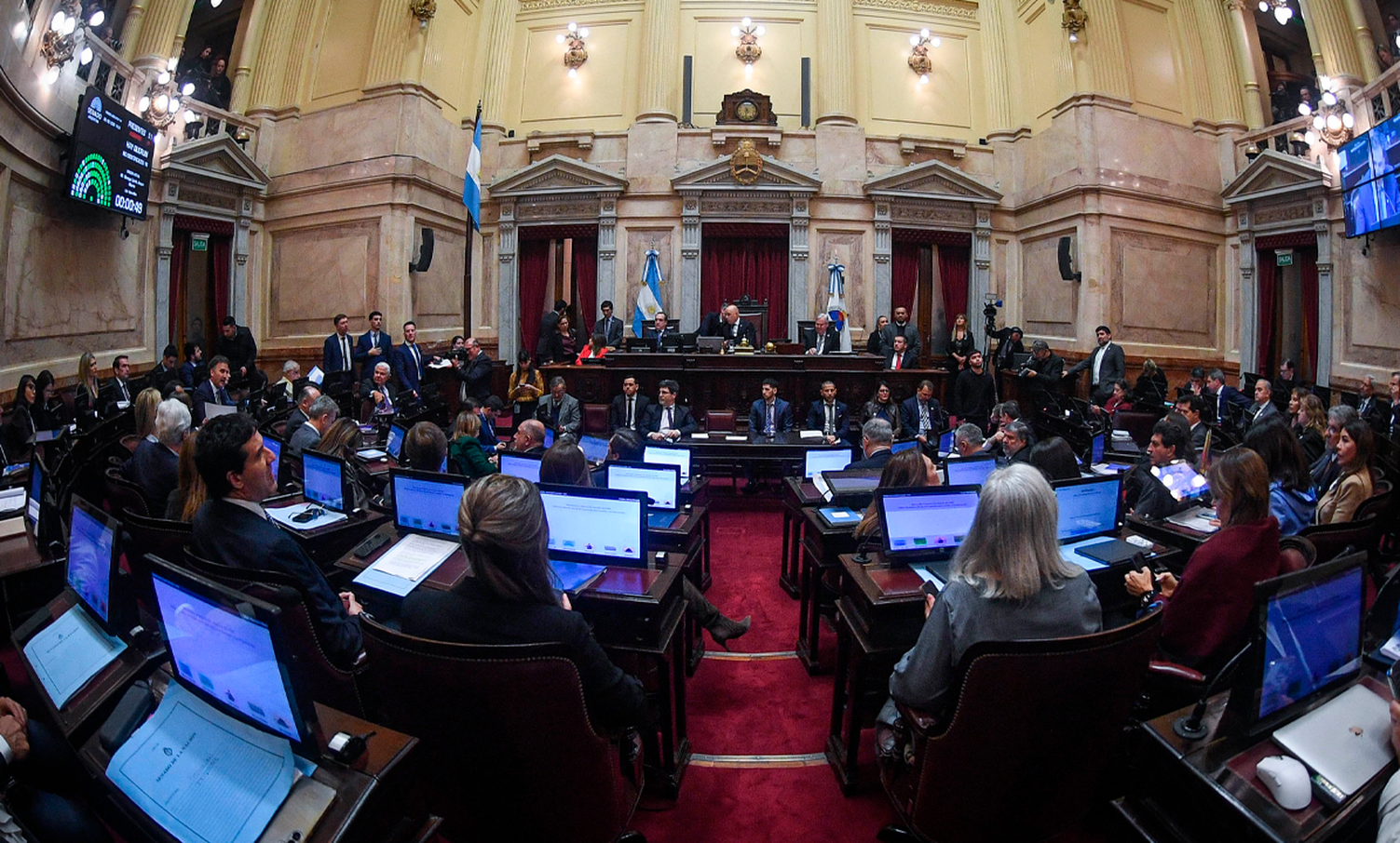 El Senado debate el proyecto de Propiedad Privada.