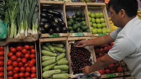 Los Andes | Tras el conflicto en Ucrania, los precios de fertilizantes se han duplicado y hay dudas de cómo mantener una escasa rentabilidad. Situación del ajo, la cebolla y la zanahoria. / Foto: Orlando Pelichotti