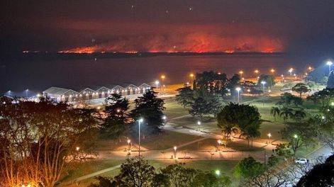 Incendios en el delta del Río Paraná. / Gentileza