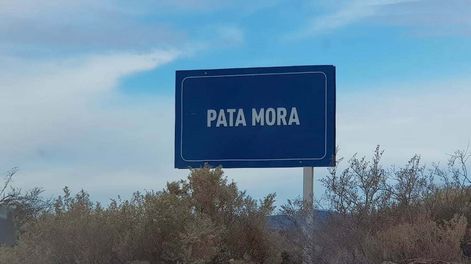 Pata Mora. Foto: Prensa Municipalidad de Malargüe