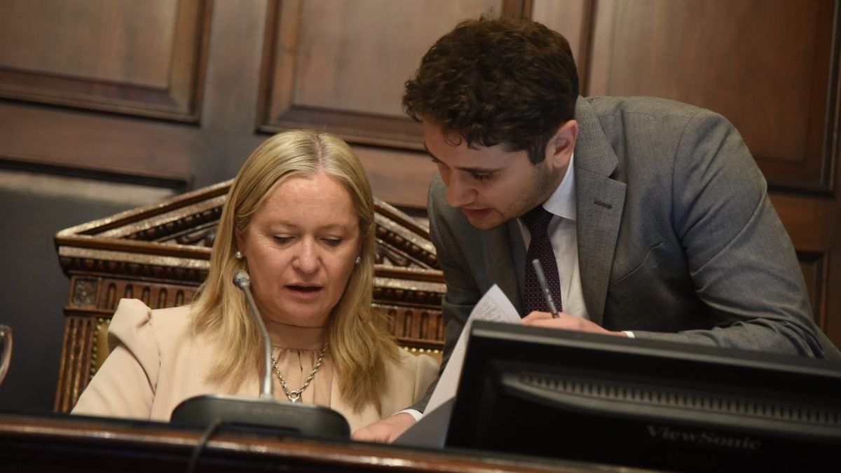 El Senado confirmó sus integrantes para el Jury de Enjuiciamiento: abrumadora mayoría para Alfredo Cornejo