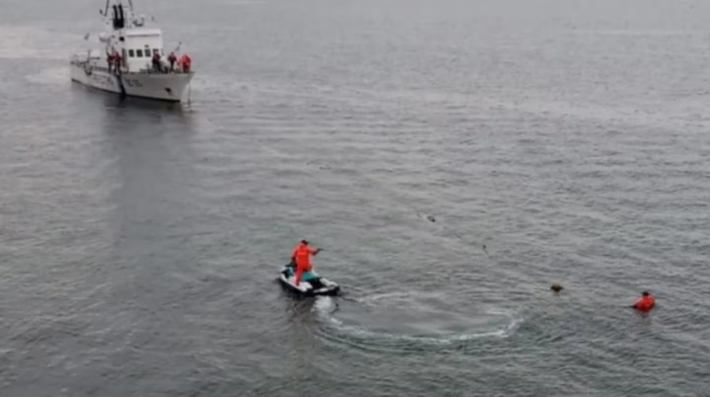 La búsqueda de Sofía Devries en Puerto Madryn.